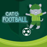 Cat Football